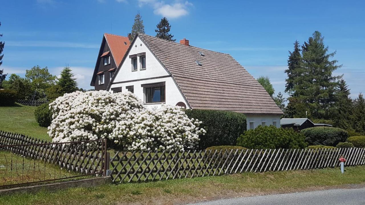 Schiller Apartment